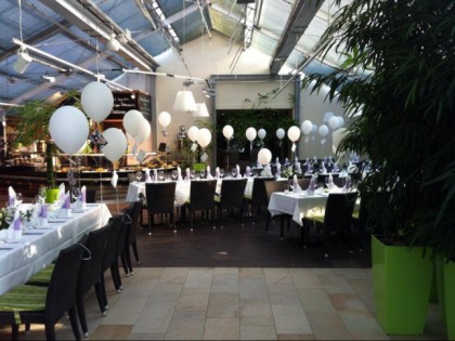 照片: Bambusgarten Hamburg
